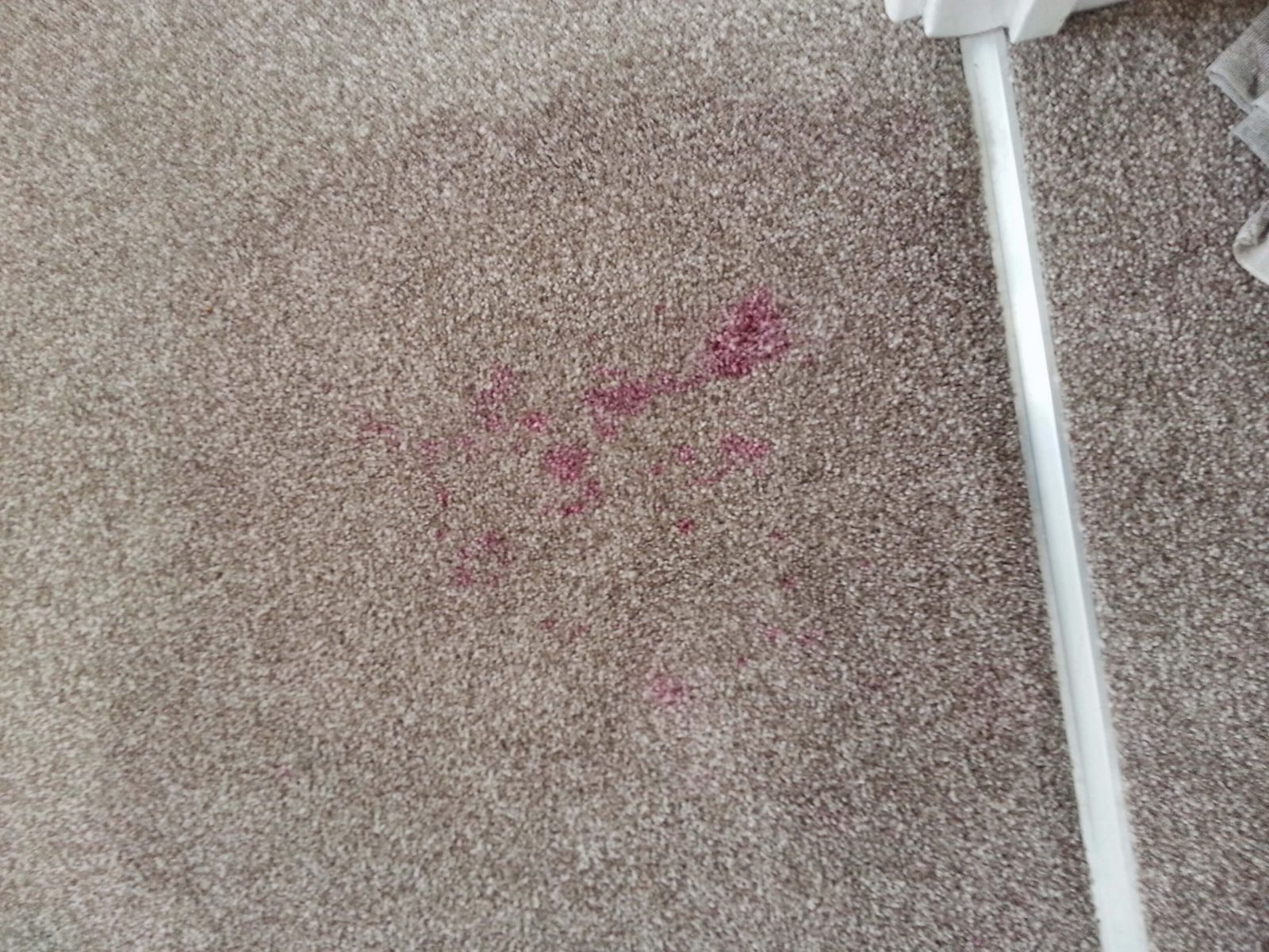 Carpet Cleaning