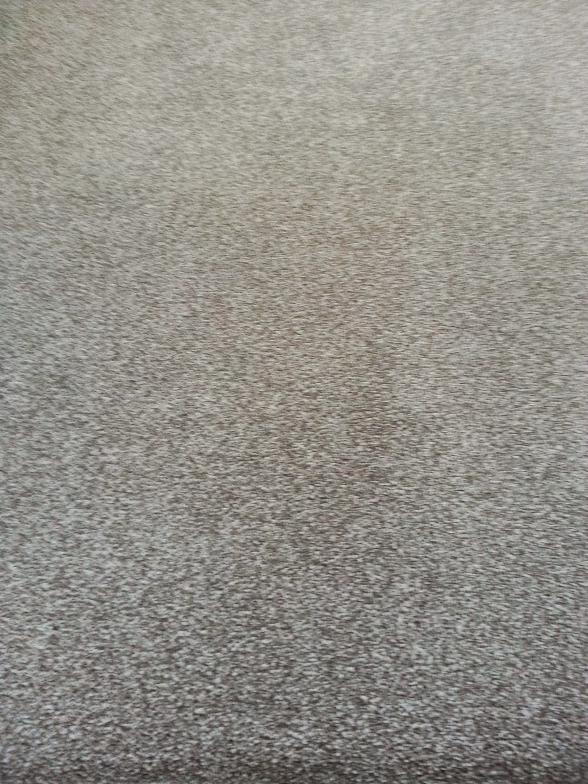 Carpet Cleaning