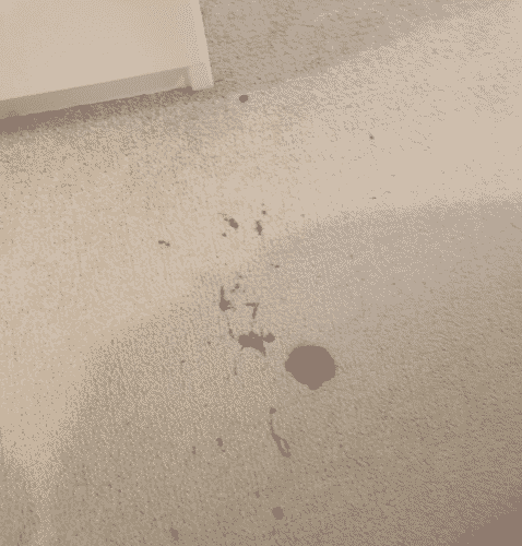 Nail varnish on carpet before newmarket Carpet Cleaning in Newmarket - Nail Varnish Removal